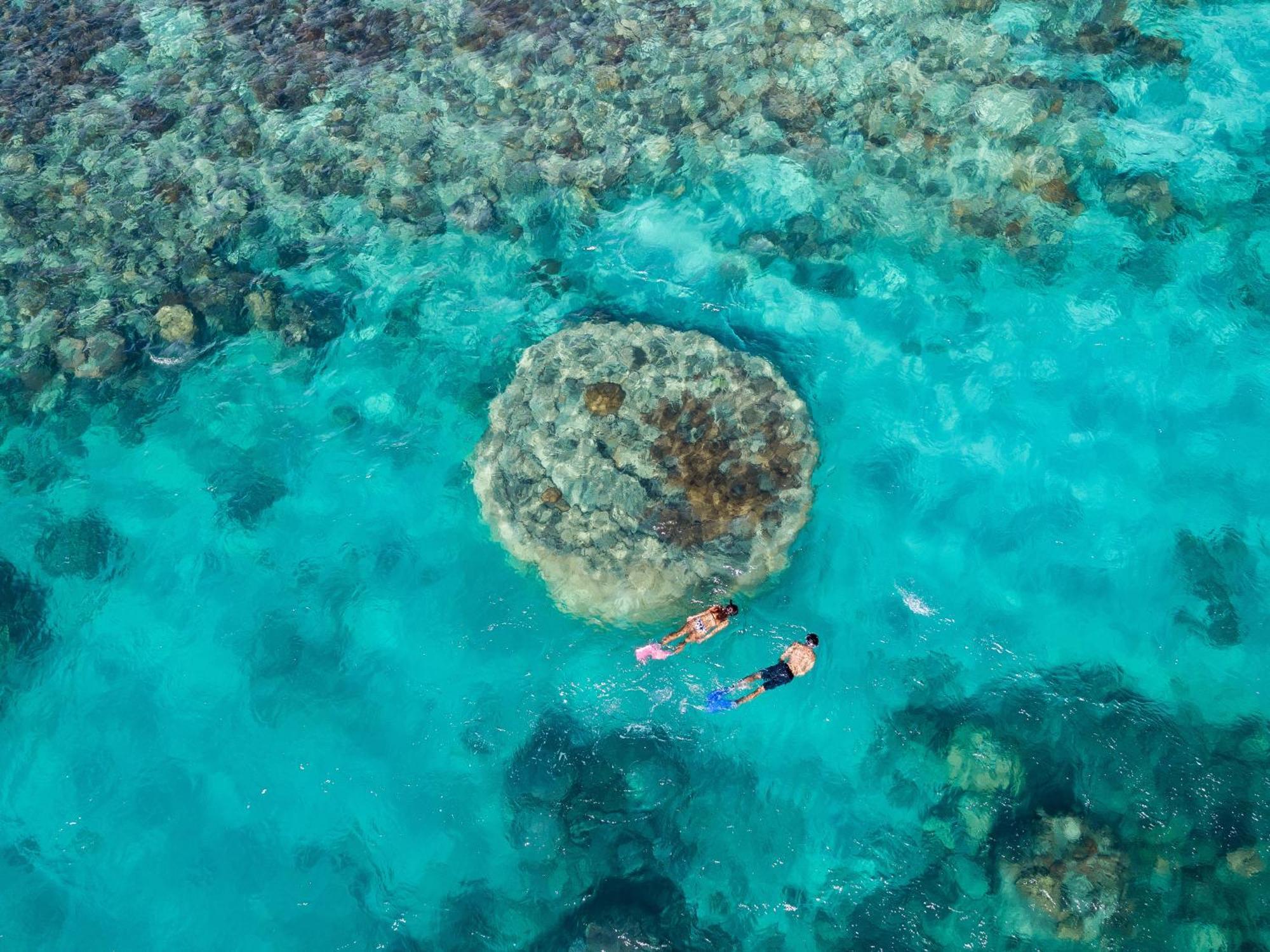 Shingley Beach Resort - Whitsundays Airlie Beach Dış mekan fotoğraf